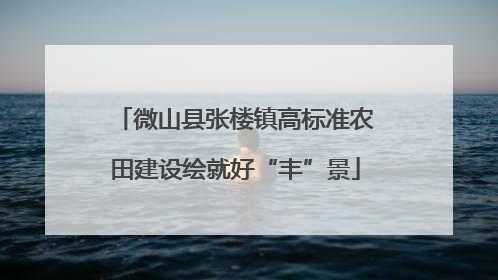 微山县张楼镇高标准农田建设绘就好“丰”景