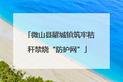 微山县驩城镇筑牢秸秆禁烧“防护网”