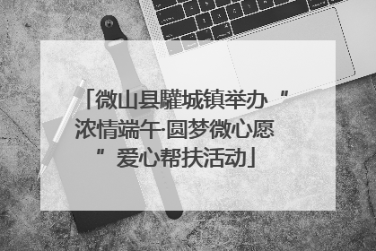 微山县驩城镇举办“浓情端午·圆梦微心愿”爱心帮扶活动