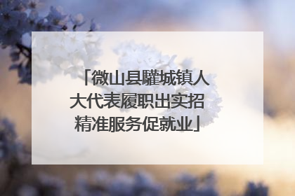 微山县驩城镇人大代表履职出实招精准服务促就业