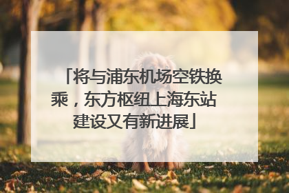 将与浦东机场空铁换乘，东方枢纽上海东站建设又有新进展