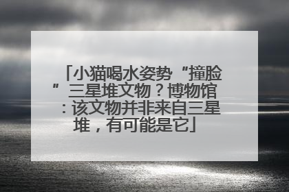 小猫喝水姿势“撞脸”三星堆文物？博物馆：该文物并非来自三星堆，有可能是它