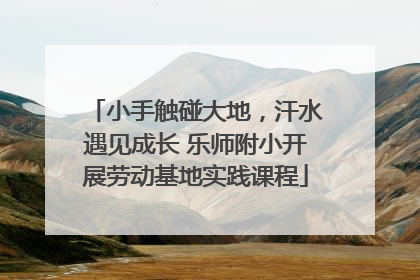 小手触碰大地，汗水遇见成长 乐师附小开展劳动基地实践课程