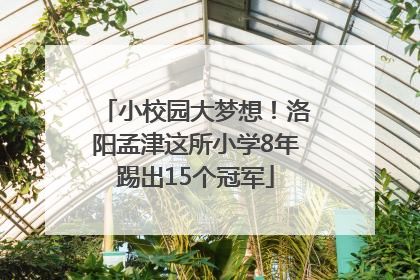 小校园大梦想！洛阳孟津这所小学8年踢出15个冠军