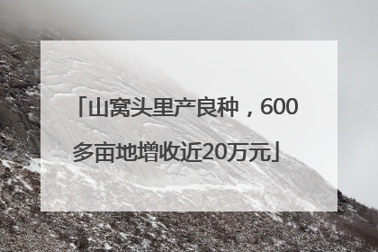 山窝头里产良种，600多亩地增收近20万元