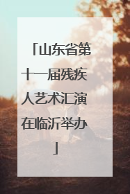 山东省第十一届残疾人艺术汇演在临沂举办