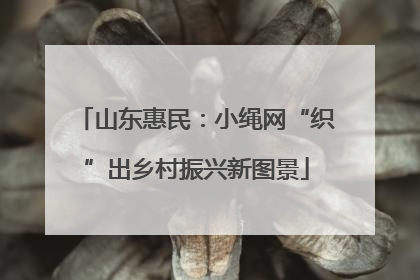 山东惠民：小绳网“织”出乡村振兴新图景