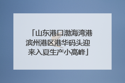 山东港口渤海湾港滨州港区港华码头迎来入夏生产小高峰