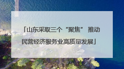 山东采取三个“聚焦” 推动民营经济服务业高质量发展
