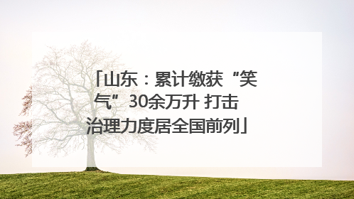 山东：累计缴获“笑气”30余万升 打击治理力度居全国前列