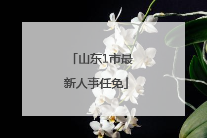 山东1市最新人事任免