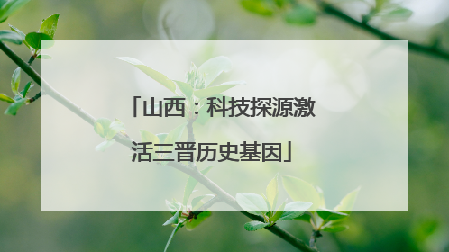 山西：科技探源激活三晋历史基因