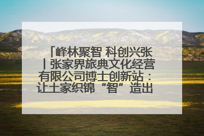 峰林聚智 科创兴张丨张家界旅典文化经营有限公司博士创新站：让土家织锦“智”造出非遗新传奇