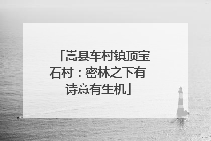 嵩县车村镇顶宝石村：密林之下有诗意有生机