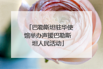 巴勒斯坦驻华使馆举办声援巴勒斯坦人民活动