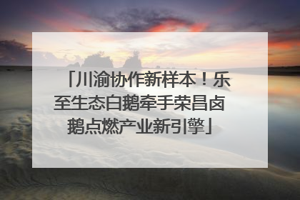 川渝协作新样本！乐至生态白鹅牵手荣昌卤鹅点燃产业新引擎