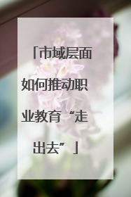 市域层面如何推动职业教育“走出去”