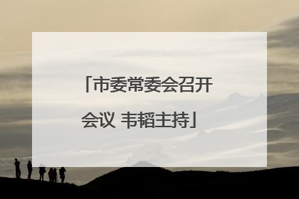 市委常委会召开会议 韦韬主持