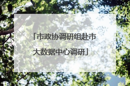 市政协调研组赴市大数据中心调研