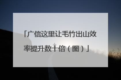 广信这里让毛竹出山效率提升数十倍（图）