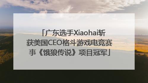 广东选手Xiaohai斩获美国CEO格斗游戏电竞赛事《饿狼传说》项目冠军