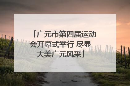 广元市第四届运动会开幕式举行 尽显大美广元风采