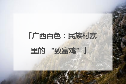 广西百色：民族村寨里的 “致富鸡”