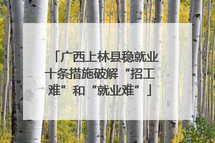 广西上林县稳就业十条措施破解“招工难”和“就业难”