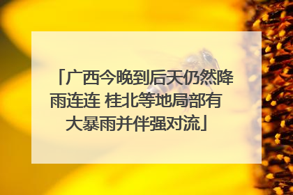 广西今晚到后天仍然降雨连连 桂北等地局部有大暴雨并伴强对流