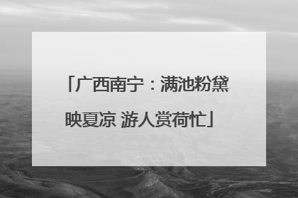 广西南宁：满池粉黛映夏凉 游人赏荷忙