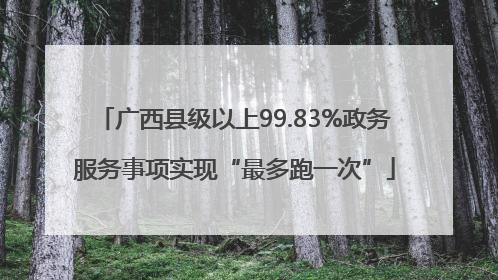 广西县级以上99.83%政务服务事项实现“最多跑一次”