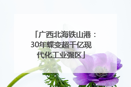 广西北海铁山港：30年蝶变超千亿现代化工业强区