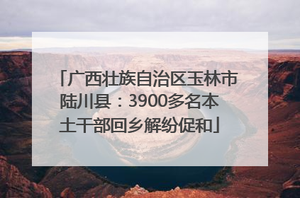 广西壮族自治区玉林市陆川县：3900多名本土干部回乡解纷促和