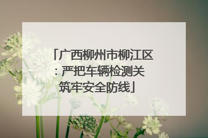 广西柳州市柳江区：严把车辆检测关 筑牢安全防线