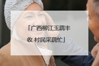 广西柳江玉藕丰收 村民采藕忙