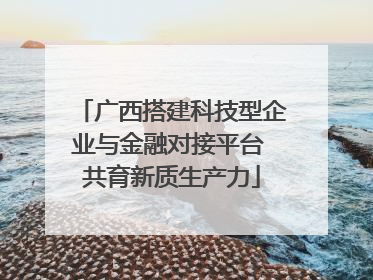 广西搭建科技型企业与金融对接平台 共育新质生产力