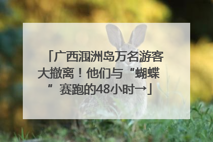 广西涠洲岛万名游客大撤离！他们与“蝴蝶”赛跑的48小时→