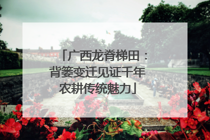 广西龙脊梯田：背篓变迁见证千年农耕传统魅力