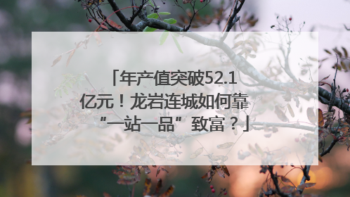 年产值突破52.1亿元！龙岩连城如何靠“一站一品”致富？