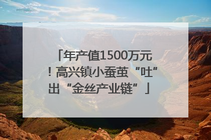 年产值1500万元！高兴镇小蚕茧“吐”出“金丝产业链”