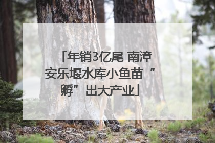 年销3亿尾 南漳安乐堰水库小鱼苗“孵”出大产业