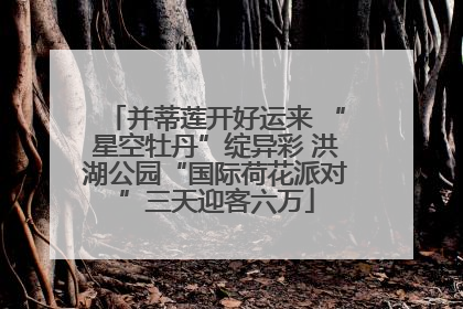 并蒂莲开好运来 “星空牡丹”绽异彩 洪湖公园“国际荷花派对”三天迎客六万