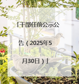 干部任前公示公告（2025年5月30日）