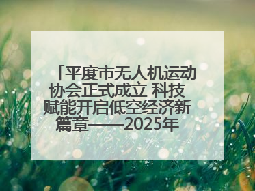 平度市无人机运动协会正式成立 科技赋能开启低空经济新篇章——2025年首届会员大会暨无人机应用发展论坛成功举办
