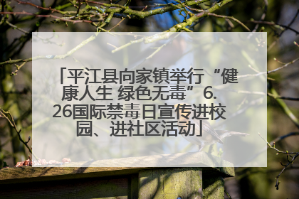 平江县向家镇举行“健康人生 绿色无毒”6.26国际禁毒日宣传进校园、进社区活动