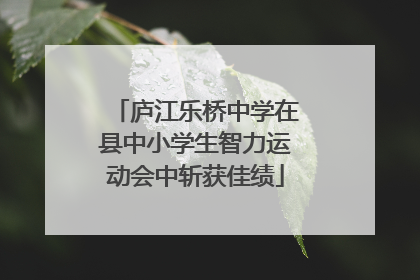 庐江乐桥中学在县中小学生智力运动会中斩获佳绩