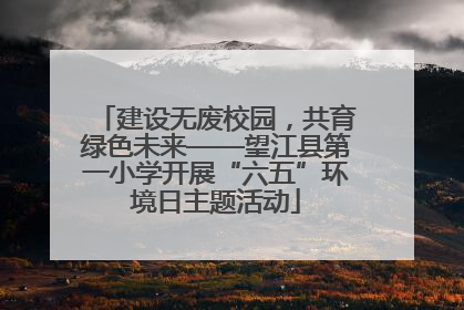 建设无废校园，共育绿色未来——望江县第一小学开展“六五”环境日主题活动
