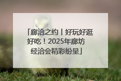 廊洽之约丨好玩好逛好吃！2025年廊坊经洽会精彩纷呈