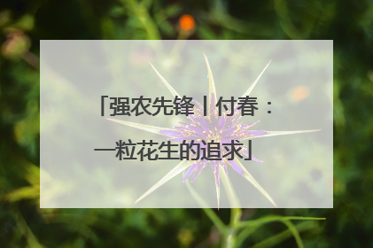 强农先锋丨付春：一粒花生的追求