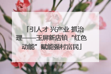 引人才 兴产业 抓治理——玉屏新店镇“红色动能”赋能强村富民